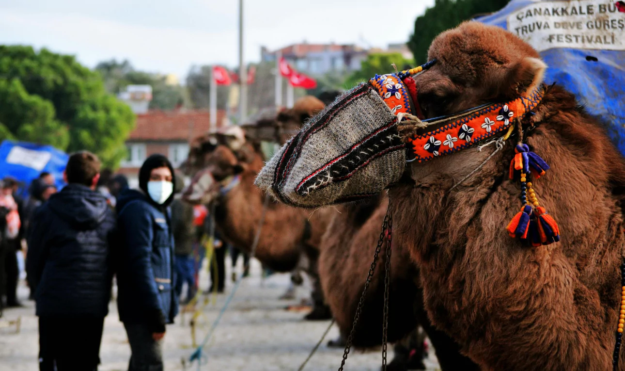 KSCA Invitational: Tendulkar takes match haul of nine wickets in Goa’s win against Jayo