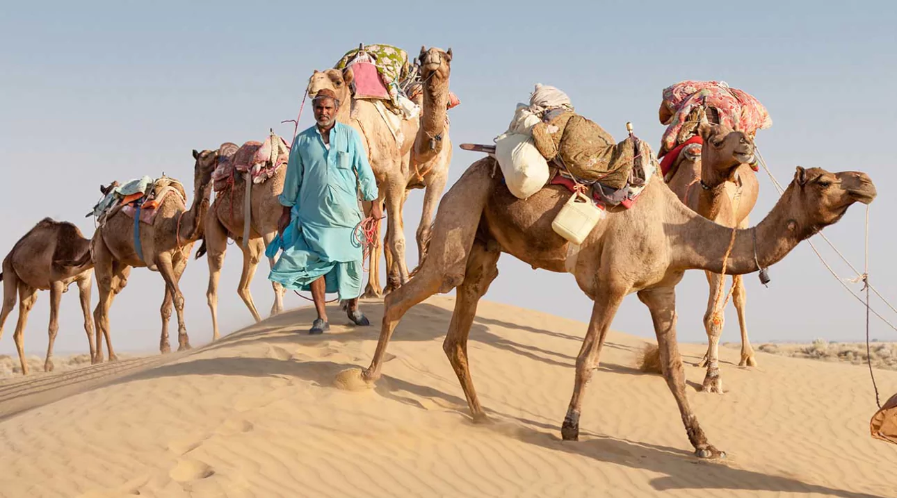 Gukesh attended in the Halka chess game to demand the Word Cup 2025