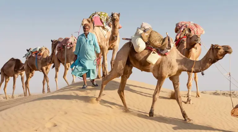 Gukesh attended in the Halka chess game to demand the Word Cup 2025